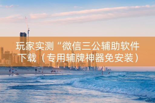 玩家实测“微信三公辅助软件下载（专用辅牌神器免安装）