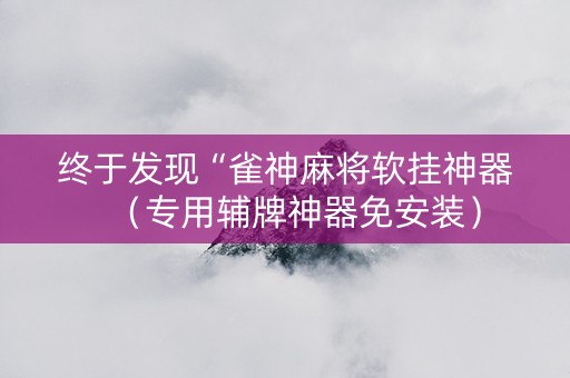 终于发现“雀神麻将软挂神器（专用辅牌神器免安装）