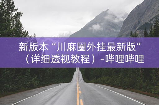 新版本“川麻圈外挂最新版”（详细透视教程）-哔哩哔哩