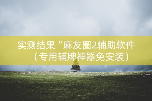 实测结果“麻友圈2辅助软件（专用辅牌神器免安装）