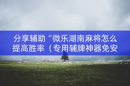分享辅助“微乐湖南麻将怎么提高胜率（专用辅牌神器免安装）
