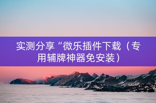 实测分享“微乐插件下载（专用辅牌神器免安装）