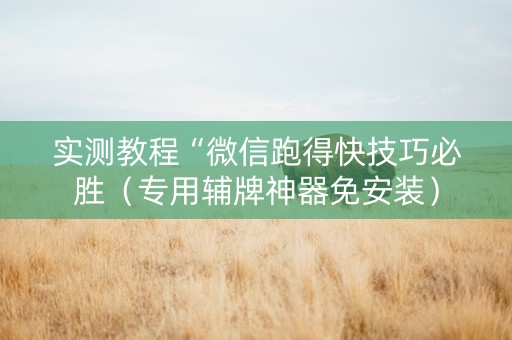 实测教程“微信跑得快技巧必胜（专用辅牌神器免安装）