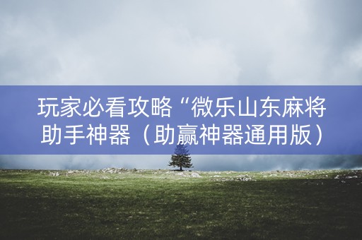 玩家必看攻略“微乐山东麻将助手神器（助赢神器通用版）