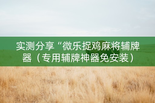 实测分享“微乐捉鸡麻将辅牌器（专用辅牌神器免安装）