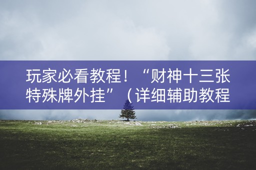 玩家必看教程！“财神十三张特殊牌外挂”（详细辅助教程）-哔哩哔哩