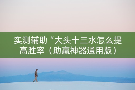 实测辅助“大头十三水怎么提高胜率（助赢神器通用版）