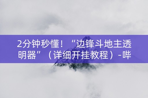 2分钟秒懂！“边锋斗地主透明器”（详细开挂教程）-哔哩哔哩