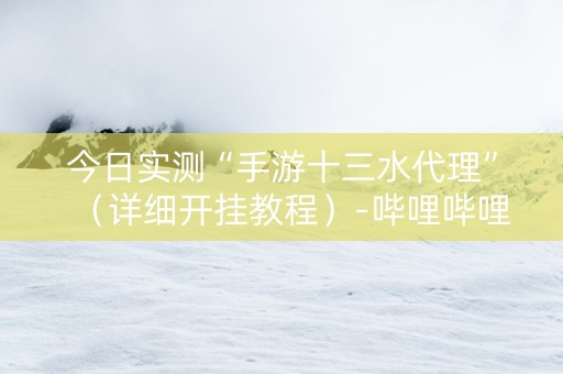 今日实测“手游十三水代理”（详细开挂教程）-哔哩哔哩