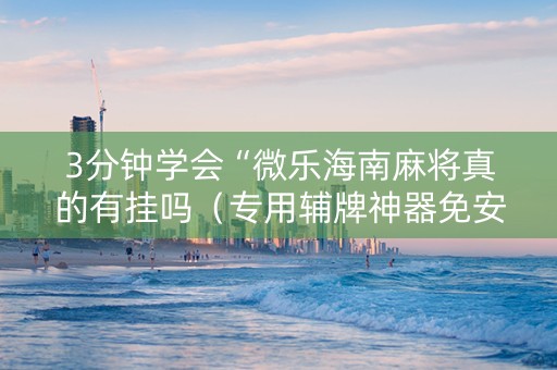 3分钟学会“微乐海南麻将真的有挂吗（专用辅牌神器免安装）