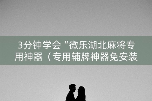 3分钟学会“微乐湖北麻将专用神器（专用辅牌神器免安装）