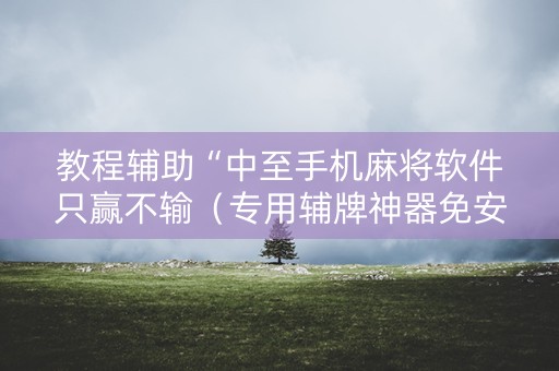 教程辅助“中至手机麻将软件只赢不输（专用辅牌神器免安装）