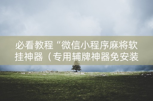 必看教程“微信小程序麻将软挂神器（专用辅牌神器免安装）