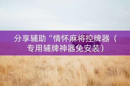 分享辅助“情怀麻将控牌器（专用辅牌神器免安装）