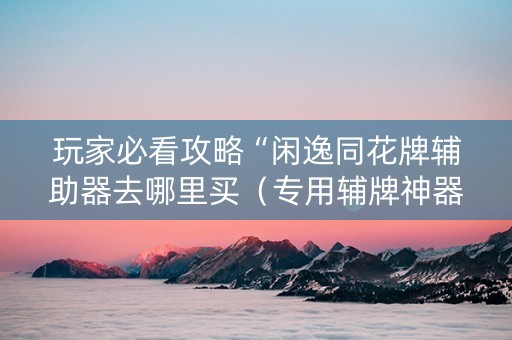 玩家必看攻略“闲逸同花牌辅助器去哪里买（专用辅牌神器免安装）