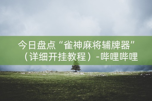 今日盘点“雀神麻将辅牌器”（详细开挂教程）-哔哩哔哩