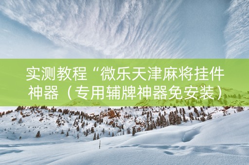 实测教程“微乐天津麻将挂件神器（专用辅牌神器免安装）