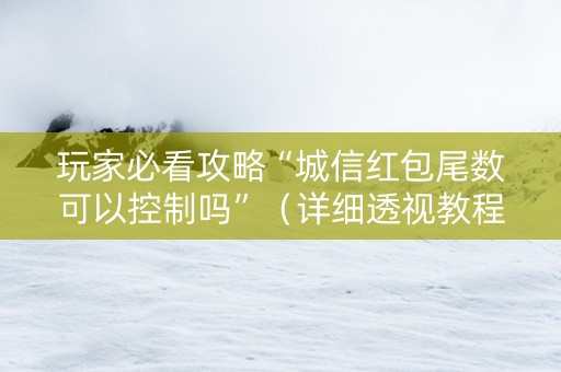 玩家必看攻略“城信红包尾数可以控制吗”（详细透视教程）-哔哩哔哩