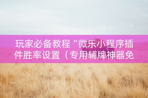 玩家必备教程“微乐小程序插件胜率设置（专用辅牌神器免安装）