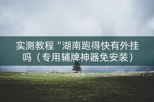 实测教程“湖南跑得快有外挂吗（专用辅牌神器免安装）
