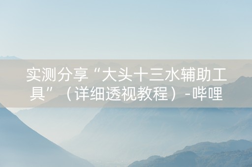 实测分享“大头十三水辅助工具”（详细透视教程）-哔哩哔哩