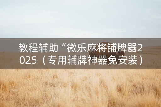 教程辅助“微乐麻将铺牌器2025（专用辅牌神器免安装）