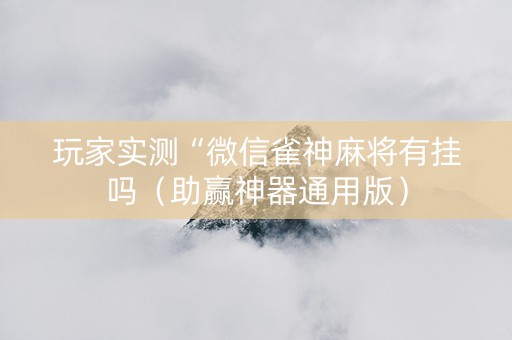玩家实测“微信雀神麻将有挂吗（助赢神器通用版）