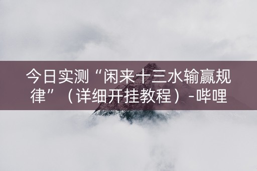 今日实测“闲来十三水输赢规律”（详细开挂教程）-哔哩哔哩