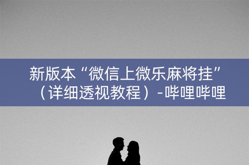 新版本“微信上微乐麻将挂”（详细透视教程）-哔哩哔哩