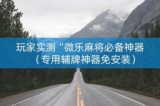 玩家实测“微乐麻将必备神器（专用辅牌神器免安装）