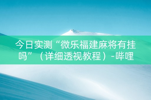 今日实测“微乐福建麻将有挂吗”（详细透视教程）-哔哩哔哩