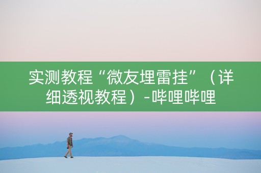 实测教程“微友埋雷挂”（详细透视教程）-哔哩哔哩