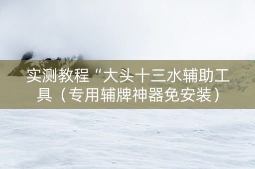 实测教程“大头十三水辅助工具（专用辅牌神器免安装）