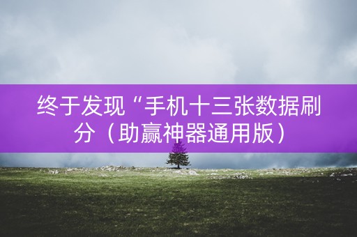 终于发现“手机十三张数据刷分（助赢神器通用版）