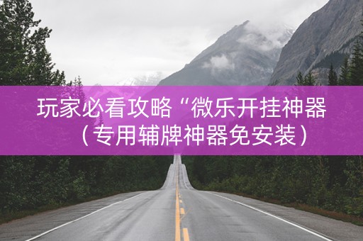 玩家必看攻略“微乐开挂神器（专用辅牌神器免安装）
