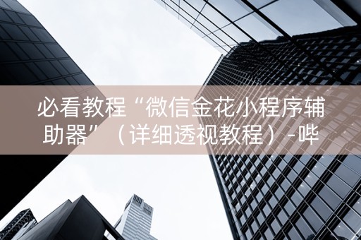 必看教程“微信金花小程序辅助器”（详细透视教程）-哔哩哔哩