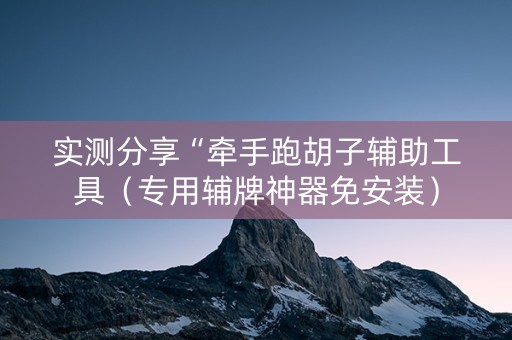 实测分享“牵手跑胡子辅助工具（专用辅牌神器免安装）