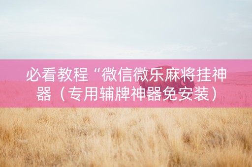 必看教程“微信微乐麻将挂神器（专用辅牌神器免安装）