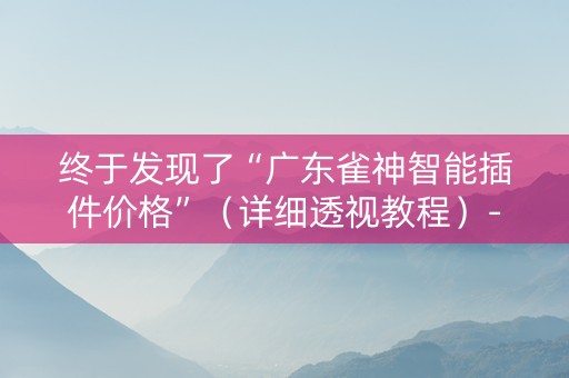 终于发现了“广东雀神智能插件价格”（详细透视教程）-哔哩哔哩