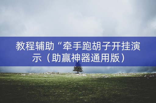 教程辅助“牵手跑胡子开挂演示（助赢神器通用版）