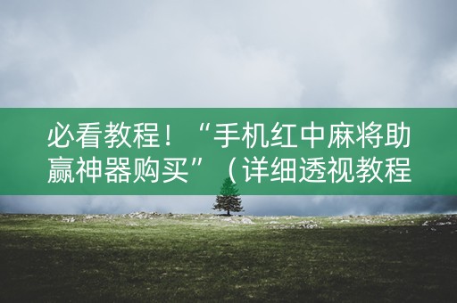 必看教程！“手机红中麻将助赢神器购买”（详细透视教程）-哔哩哔哩
