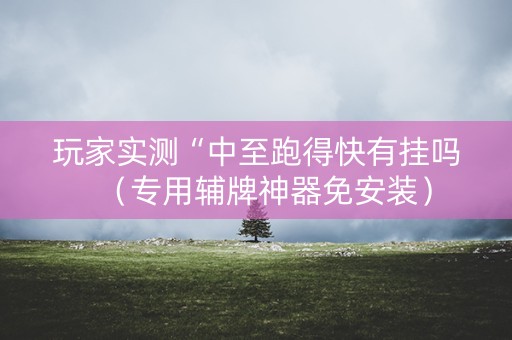 玩家实测“中至跑得快有挂吗（专用辅牌神器免安装）
