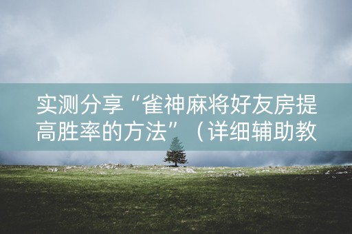 实测分享“雀神麻将好友房提高胜率的方法”（详细辅助教程）-哔哩哔哩