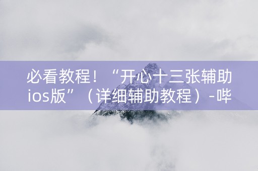 必看教程！“开心十三张辅助ios版”（详细辅助教程）-哔哩哔哩