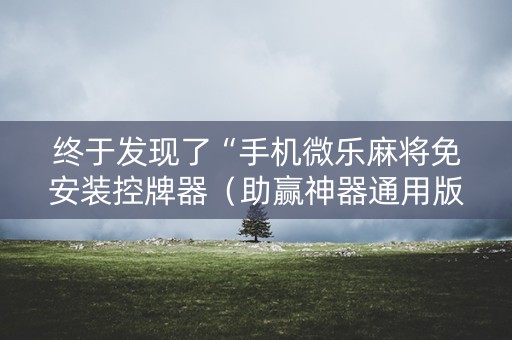 终于发现了“手机微乐麻将免安装控牌器（助赢神器通用版）