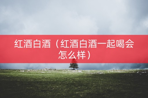 红酒白酒（红酒白酒一起喝会怎么样）