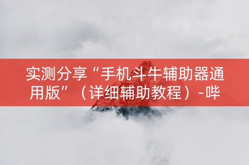 实测分享“手机斗牛辅助器通用版”（详细辅助教程）-哔哩哔哩