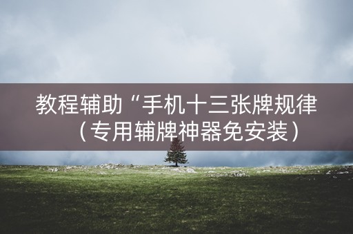教程辅助“手机十三张牌规律（专用辅牌神器免安装）