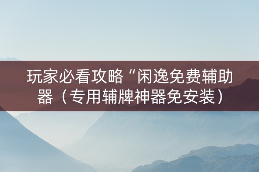 玩家必看攻略“闲逸免费辅助器（专用辅牌神器免安装）