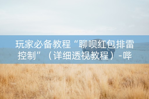 玩家必备教程“聊呗红包排雷控制”（详细透视教程）-哔哩哔哩